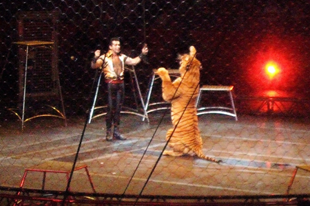 Ringling Bros Circus 44.JPG